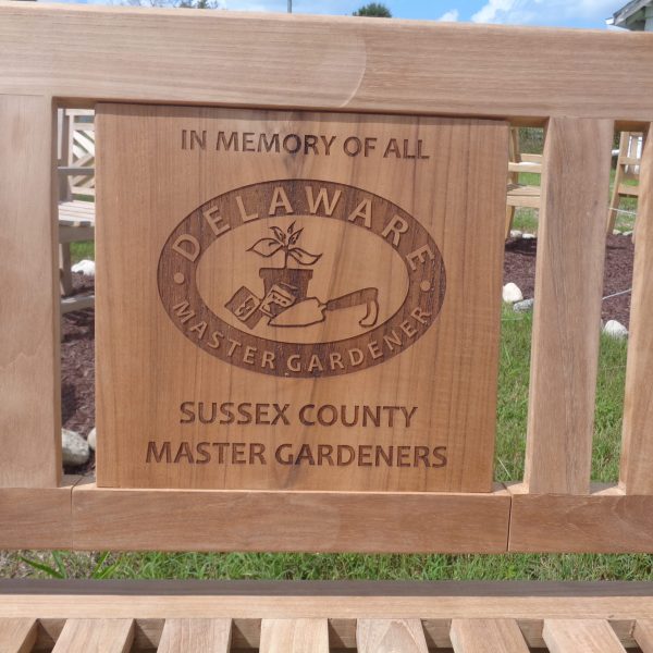 Teak Custom Decorative Bench